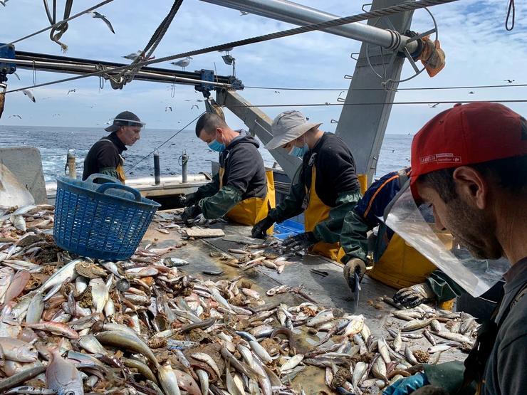 Virgili7's tweet photo. Consell de #boncatalà de l'11 d'abril:
FEINEJAR o FAENEJAR és ‘fer feina o faena’, especialment ‘fer successivament (o no) algunes feines petites’.
No vol pas dir ‘atrapar peix els pescadors de barca’: d'això se'n diu PESCAR (encara que en castellà en diguin ‘faenar’).
Que corri! https://t.co/3EYlEnZW6B