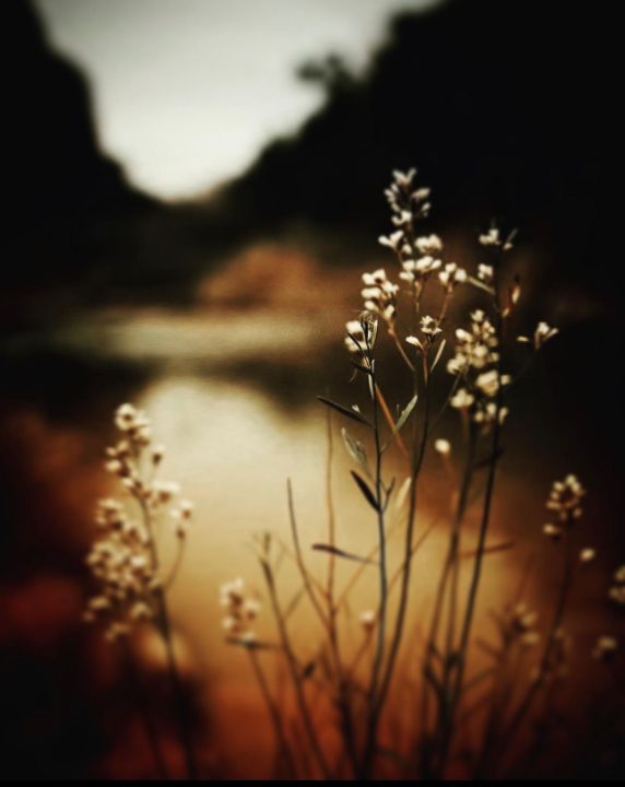 Art of the Day: "Relax". Buy at: ArtPal.com/Jupiter_Nyx?i=…