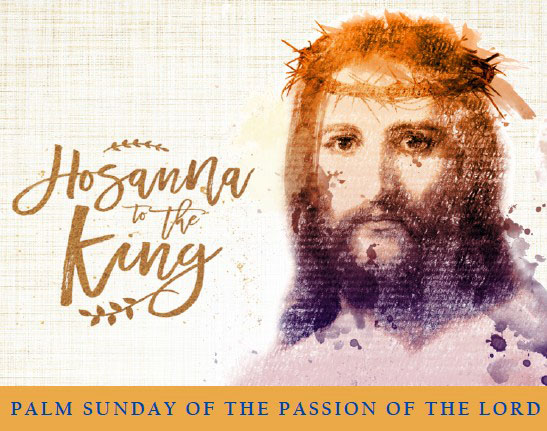 DioceseOfScr's tweet photo. We invite you to join us for CTV’s live broadcast of Palm Sunday Mass.

Bishop Bambera will celebrate Palm Sunday Mass today at 12:15 p.m. at the Cathedral of Saint Peter in Scranton.

You can view the Mass online at:  https://t.co/DbtiSq9TXb https://t.co/u8ZcfVEve8