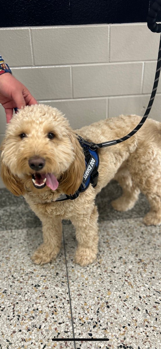 Tipton High School tweet media