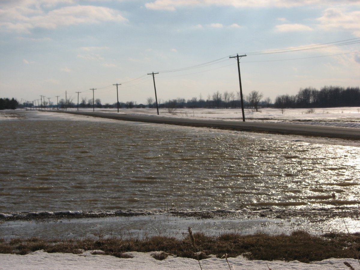 MurrayHebblethw's tweet photo. @MunicCK @LTVCA The year was 2014 when the local municipality ploughed the snow into the four #DrainageDitches which drain My lands as well as the east end of #Blenheim you can see 2 feet of water laying on my #WinterWheat for months!  This is what I have to rely on! https://t.co/46lFvKzd0S