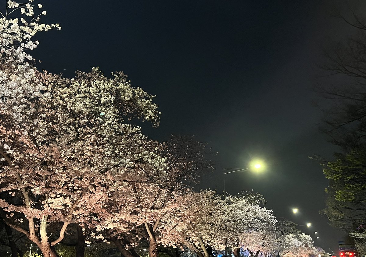 쿠앤크 커플 tweet media