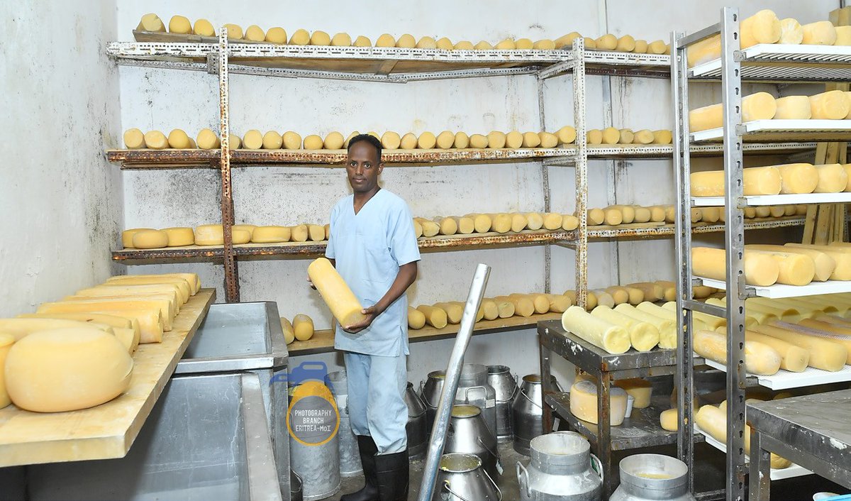 hawelti's tweet photo. Good Read - Elabered Estate: Increasing Food Production through Integrated Agriculture; by Habtom Tesfamichael

* For optimum output, Elabered Estate works in collaboration with institutions in the country, such as the Ministry of Agriculture, Hamelmalo Agricultural College, and the National Agricultural Research Institution of Halhale.

* Furthermore, and in broader sectoral terms, the GOE has established seed banks, research stations and laboratories as an indispensable support mechanism for commercial farms.  

*Applied research on livestock, forestry, horticulture and plant pests are in progress.  The GOE created platforms for farmers to get training periodically with a view to helping them improve their entrepreneurial and farm management skills.

https://t.co/16nFsRyoPl