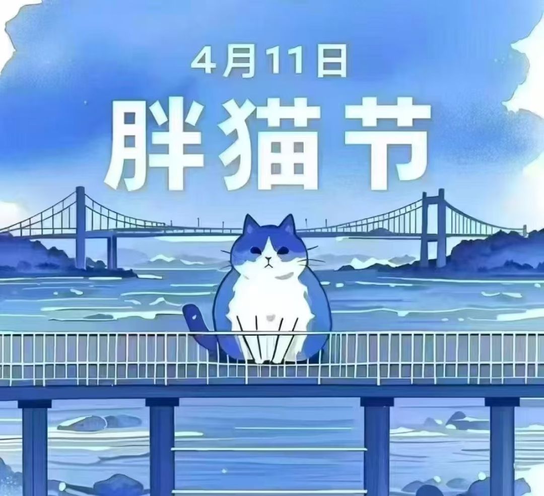 我有胖猫收款码，私我请胖猫吃麦当当
