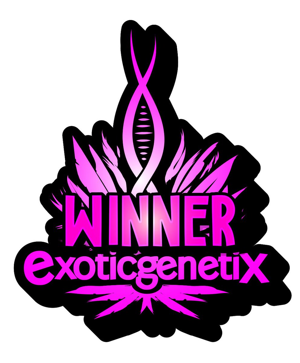 Exoticgenetix (@exoticgenetix) on Twitter photo πππ Congrats to <a href="/xxxxxx422xxxxxx/">422 π₯π©πͺπ₯</a> on winning the last post giveaway for a complimentary Poster Pack of Dripadellic!!! Please open a support ticket in the discord.gg/exoticgenetix to claim your prize. π€πΌπ€πΌπ€πΌ #winner #colorblast #exotic4ever πππ Congrats to <a href="/xxxxxx422xxxxxx/">422 π₯π©πͺπ₯</a> on winning the last post giveaway for a complimentary Poster Pack of Dripadellic!!! Please open a support ticket in the discord.gg/exoticgenetix to claim your prize. π€πΌπ€πΌπ€πΌ #winner #colorblast #exotic4ever