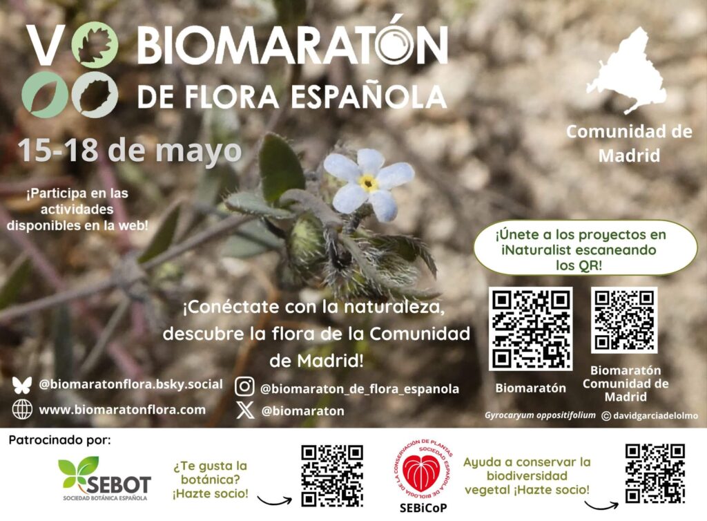 Eventos de Madrid en el #VBiomaraton 👇: