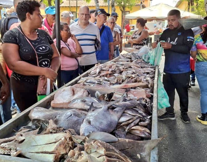 Alcaldía Bolivariana del Municipio Paz Castillo tweet media