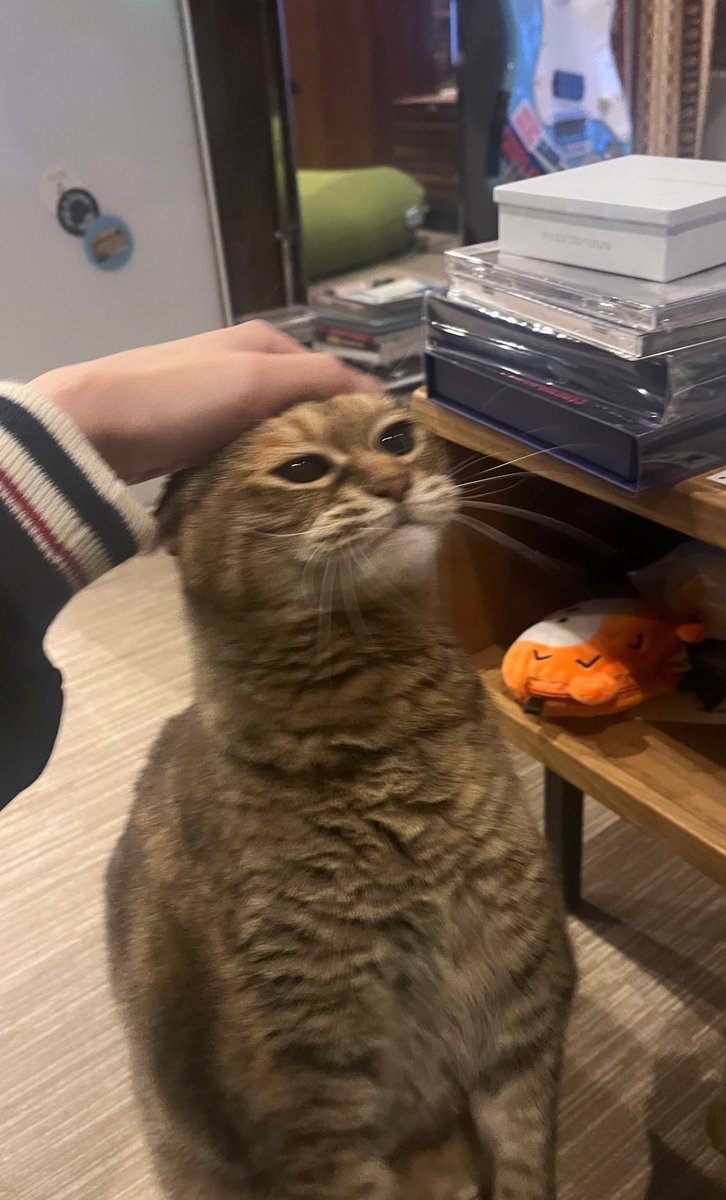 04GENLS's tweet photo. おやすみ🌝 https://t.co/AnMCKrtGEw