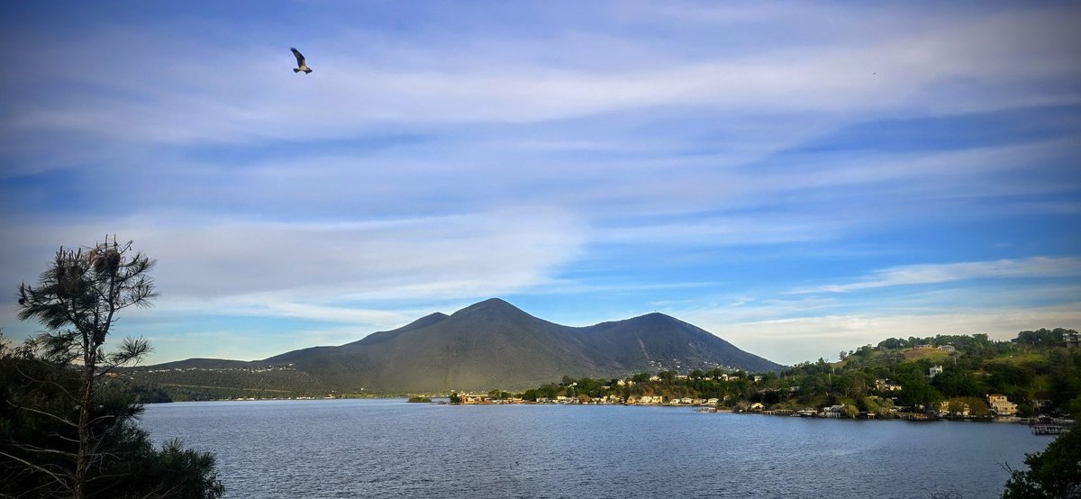 Chloé in Clear Lake (@chloeluvsclouds) on Twitter photo An Osprey ushers in a fabulous Friday in lovely Lake County.
Partly cloudy skies above Clear Lake and 57/59 county wide at sunrise..
High today 72/74.
<a href="/SPaulsonKTVU/">steve paulson</a> An Osprey ushers in a fabulous Friday in lovely Lake County.
Partly cloudy skies above Clear Lake and 57/59 county wide at sunrise..
High today 72/74.
<a href="/SPaulsonKTVU/">steve paulson</a>