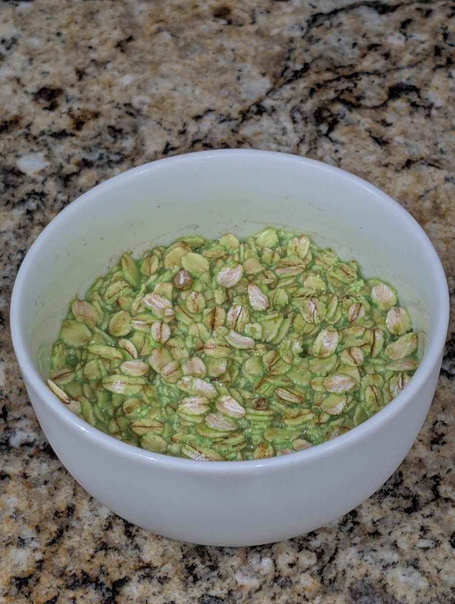 DO NOT MAKE OATMEAL FROM THE MINECRAFT MILK ‼️