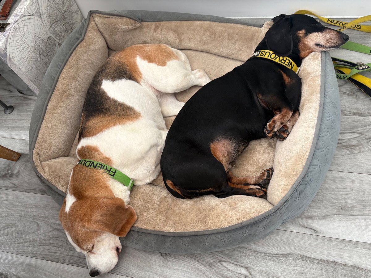 Kate Milne tweet media