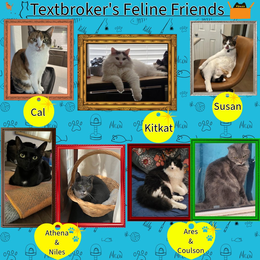 TextbrokerUSA's tweet photo. Happy Freelancer Friday, and a big thank you to everyone who shared their cat! We absolutely loved seeing these come in, and if you missed out, don’t worry! We’ll do more in the future! #cat #seo #freelancer #friday #wfh #pets https://t.co/F0kSFTVSLc