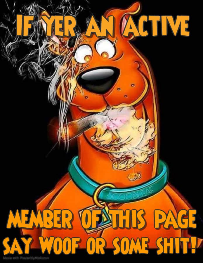 420Matt (@420matt9191) on Twitter photo 