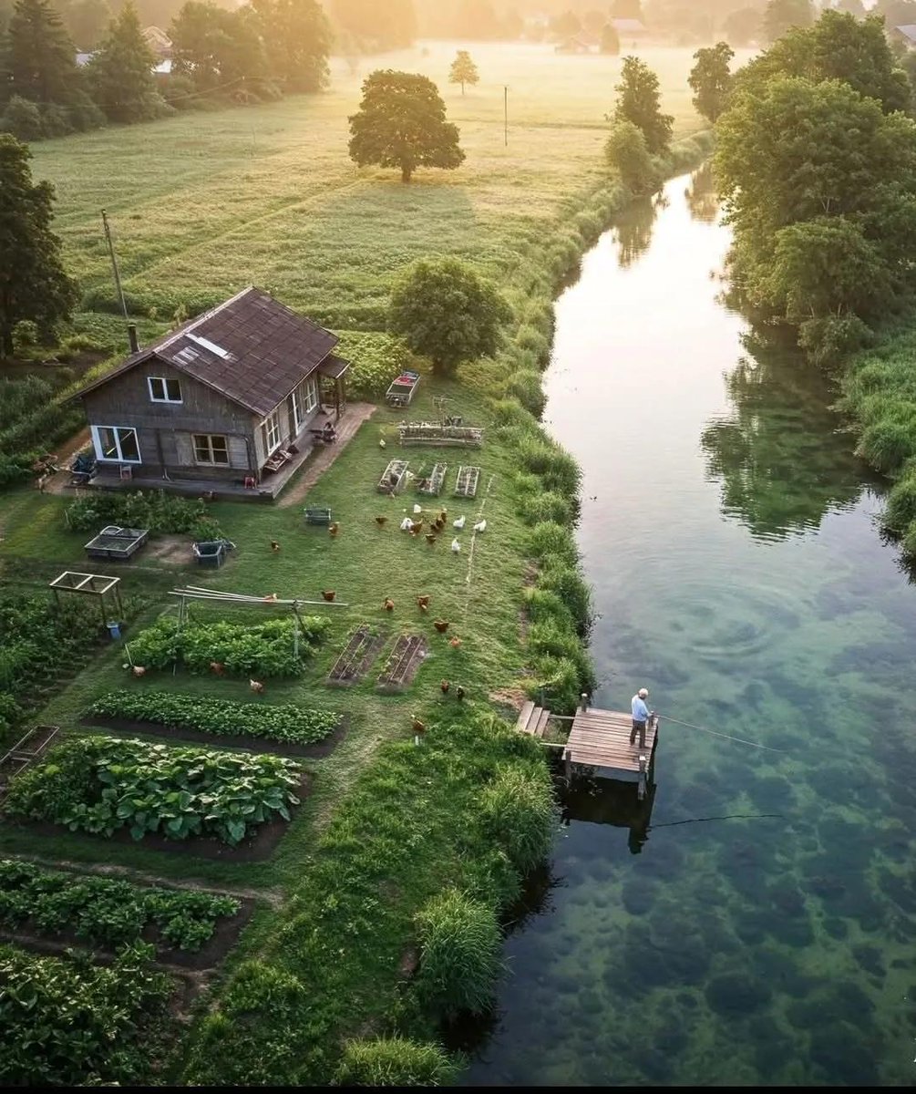 DerArto's tweet image. Сейчас бы туда, а не вот это всё