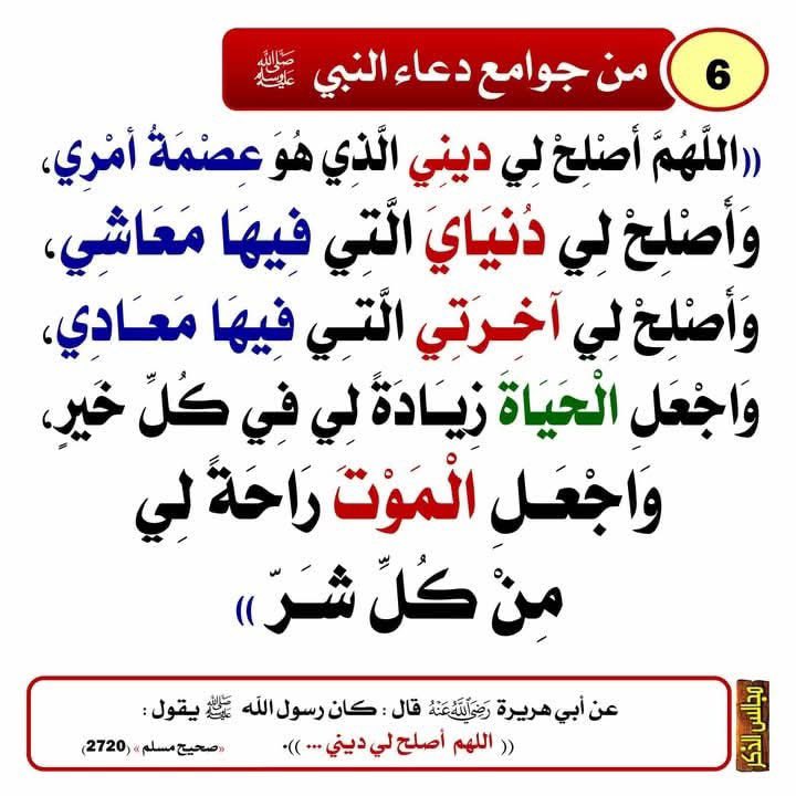 abuanasdz's tweet photo. https://t.co/lwnzWiGol7