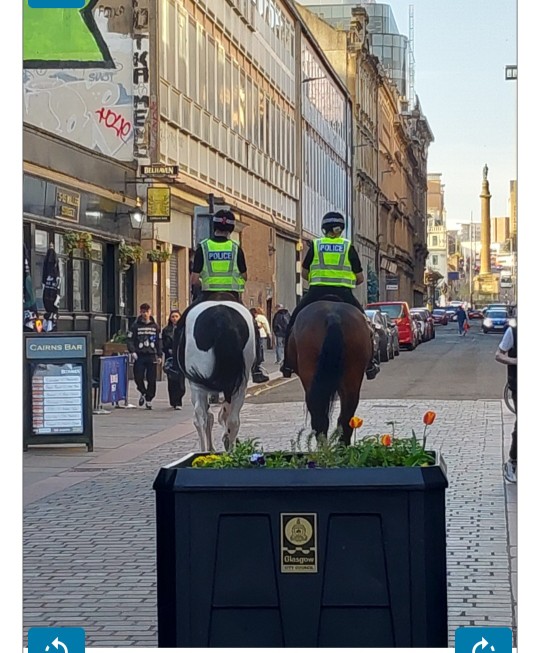 Glasgow City Centre officers are this evening being supported by the Force mounted officers.  They brought along police horses Logie and Dyce for the ride.  Please stop for a chat and highlight any concerns to the officers and maybe even have your picture taken with the horses