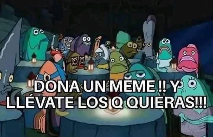 🇲🇽 México Mágico ✨ tweet media