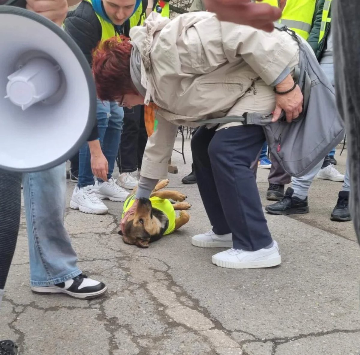 Studenti_u_blokadi tweet media