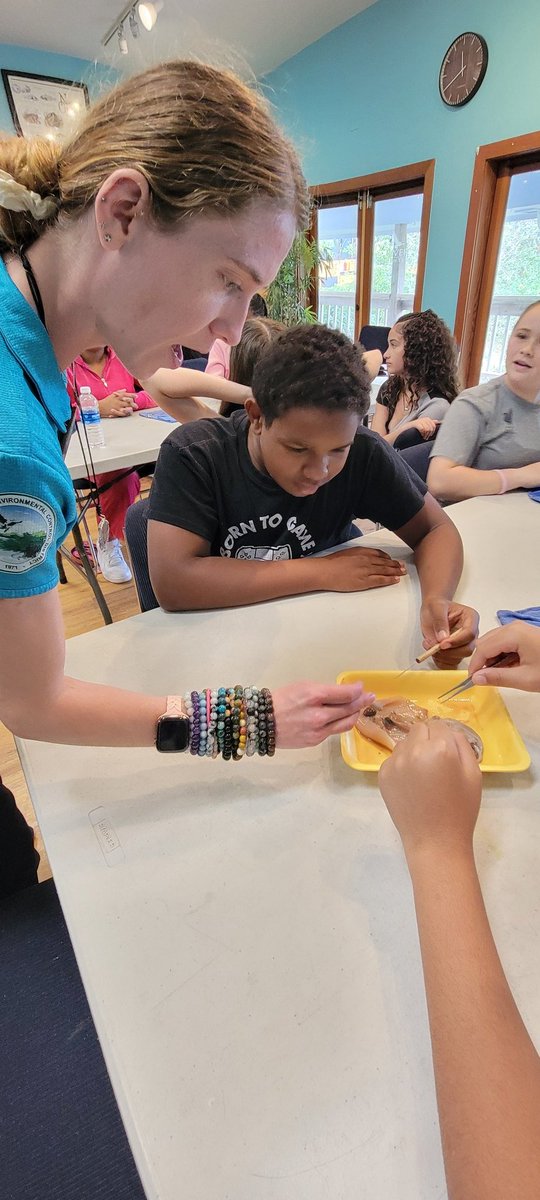 Lumarid Burgos tweet media