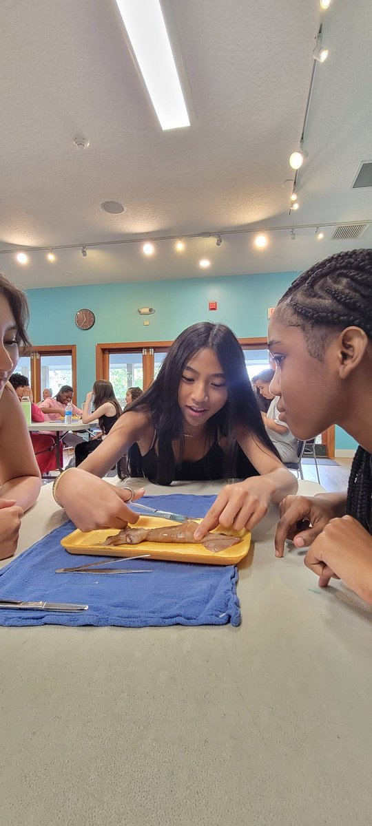 Thank you, Mrs. Patterson for taking 7th graders to #loxahatcheeRiverCenter . They learned about our native habitat and had the opportunity to dissect a Squid. <a href="/pbcsd/">The School District of Palm Beach County</a>  <a href="/SchuemannTCS/">Derek Schuemann</a> <a href="/StoupasTeresa/">Tere Stoupas💕she/her/hers</a>