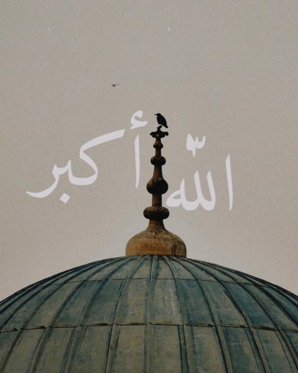 mosquesty tweet media