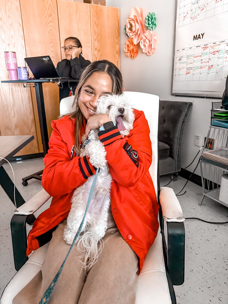 MsLassetter's tweet photo. STAAR prep can be ruff... so our principal brought in a special guest for an SEL break! 🐾📚 Nothing calms testing nerves like cuddles and tail wags from our sweet baby Luke 🐶💛 #STAARReady #SELDay #PawsitiveVibes @JackLoweSrES https://t.co/UmIsRU5km8