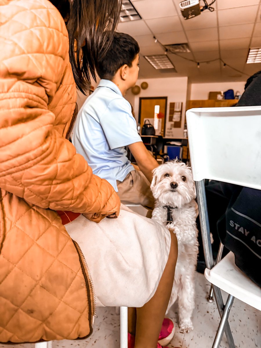 MsLassetter's tweet photo. STAAR prep can be ruff... so our principal brought in a special guest for an SEL break! 🐾📚 Nothing calms testing nerves like cuddles and tail wags from our sweet baby Luke 🐶💛 #STAARReady #SELDay #PawsitiveVibes @JackLoweSrES https://t.co/UmIsRU5km8