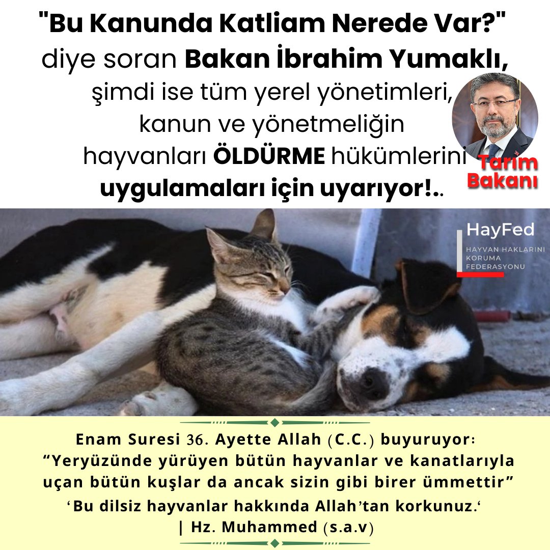 NazlTarc's tweet photo. @cattingwoman @eminekilinc_ Sıra kedilere geliyor ! #aliyerlikaya #mersincami @MersinValiligi https://t.co/CaAveXIi0j