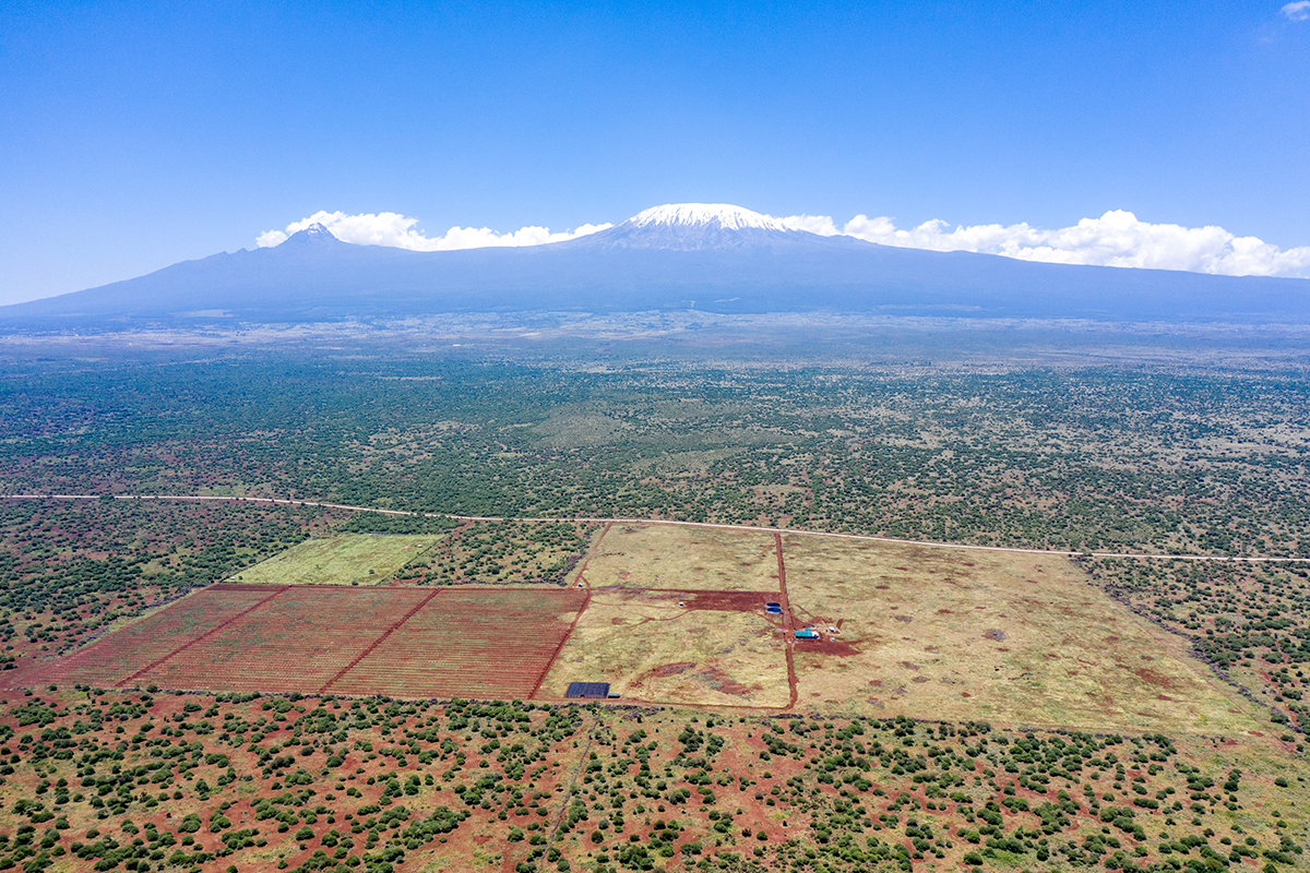 FARM IN WILDLIFE CORRIDOR LOSES FOURTH LEGAL CASE

A major win for conservation and community: the Nairobi Court of Appeal has dismissed yet another case by Kiliavo, the company behind a controversial avocado farm in the Kimana corridor.

Details: biglife.org/program-update…