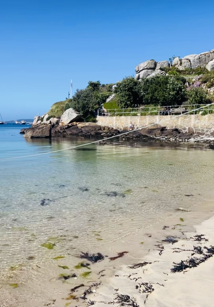 scillygigs's tweet image. What a day ! It’s been 
Fab-U-lous 😀#lovewhereyoulive #lucky #aprilmonth