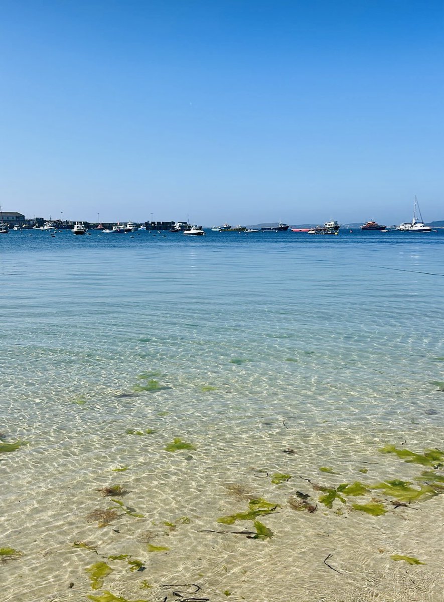scillygigs's tweet image. What a day ! It’s been 
Fab-U-lous 😀#lovewhereyoulive #lucky #aprilmonth