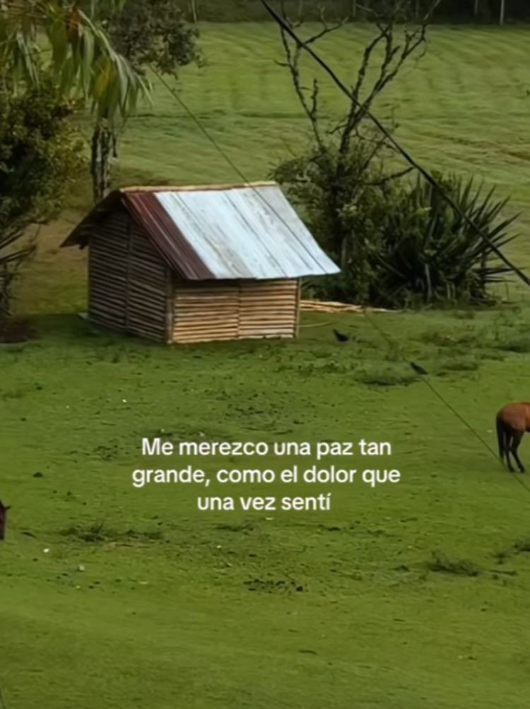 𝔾𝕚𝕣𝕖𝕜𝕠 (@mariogireko) on Twitter photo 