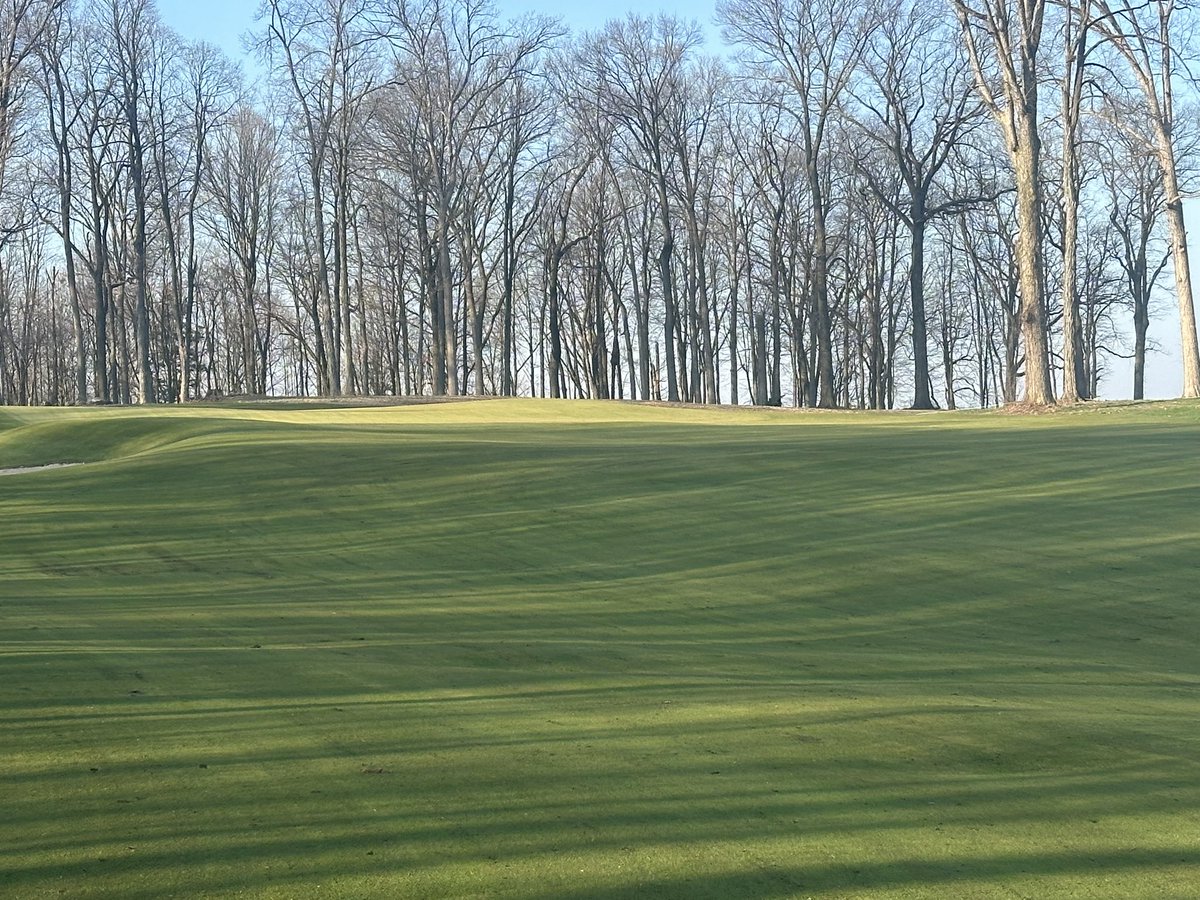 Michael Vessely tweet media