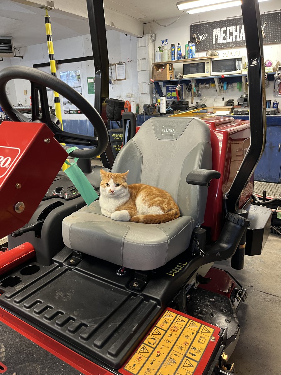 New Sidewinder has passed inspection by our shop cat, Pumpkin. Seat comfort 10/10