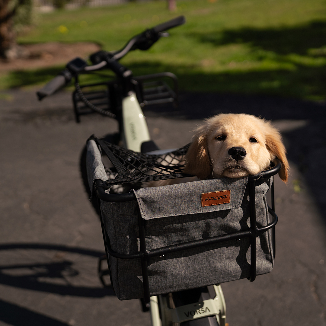 Happy National Pet Day!🐾
Nothing better than bringing your furry copilot along for the adventure. Pedaling to the park or a last-minute run to pick up treats… they’re along for the ride.
📸 Tag us with your pet + ebike adventures - we wanna see those fur-nomenal moments!