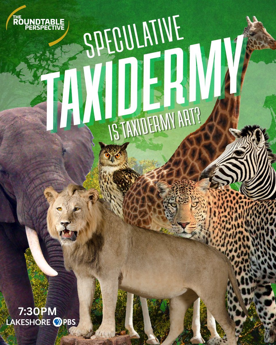 pnwroundtable's tweet image. Tune in at 7:30pm on @LakeshorePubMed channel 56 for an all-new episode of The Roundtable Perspective, looking at the unique and controversial history of taxidermy as art featuring Dr. Giovanni Aloi discussing his book "Speculative Taxidermy" from @ColumbiaUP.