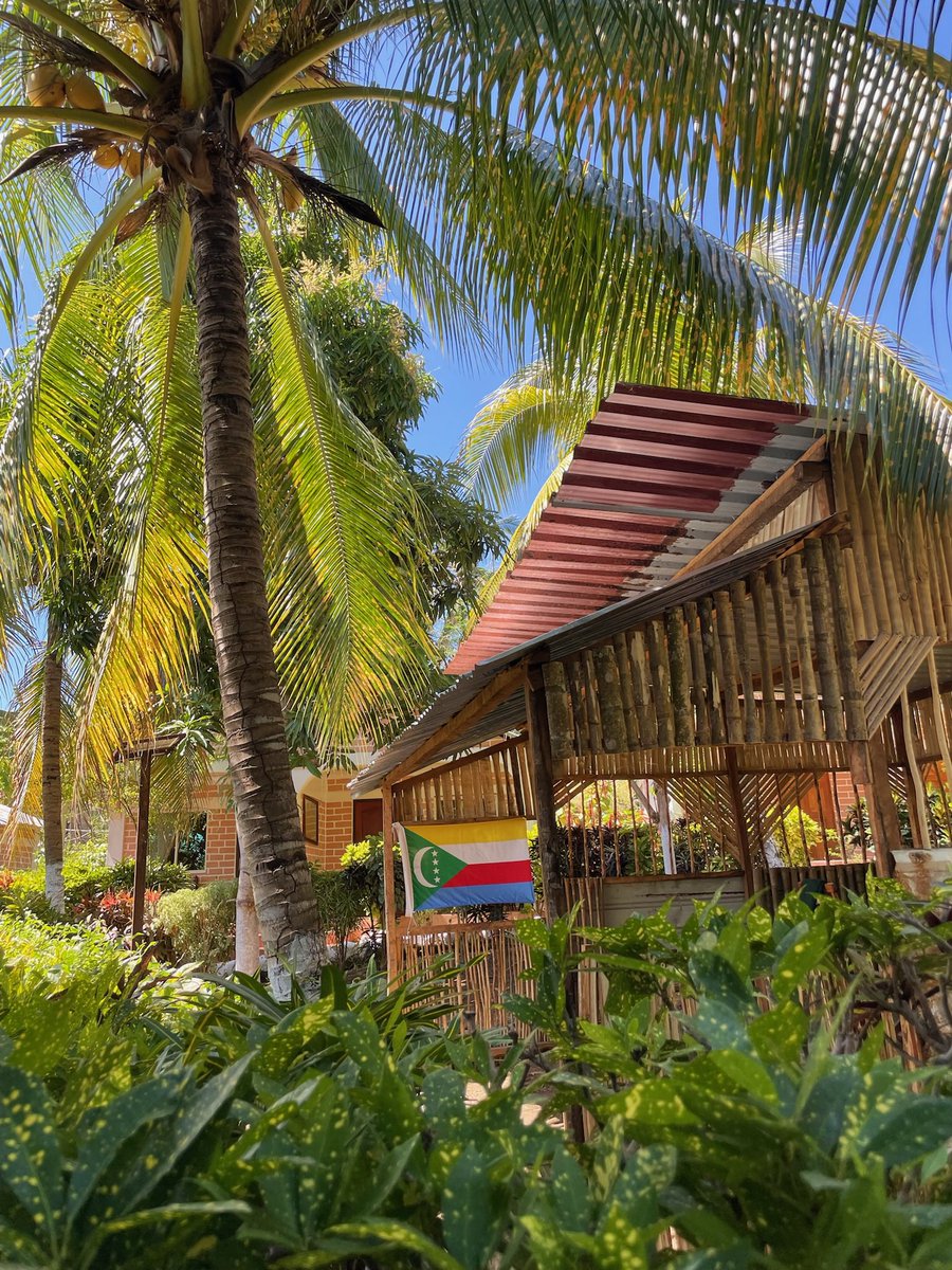 Intrvblll_'s tweet image. Dump Comores 2k24