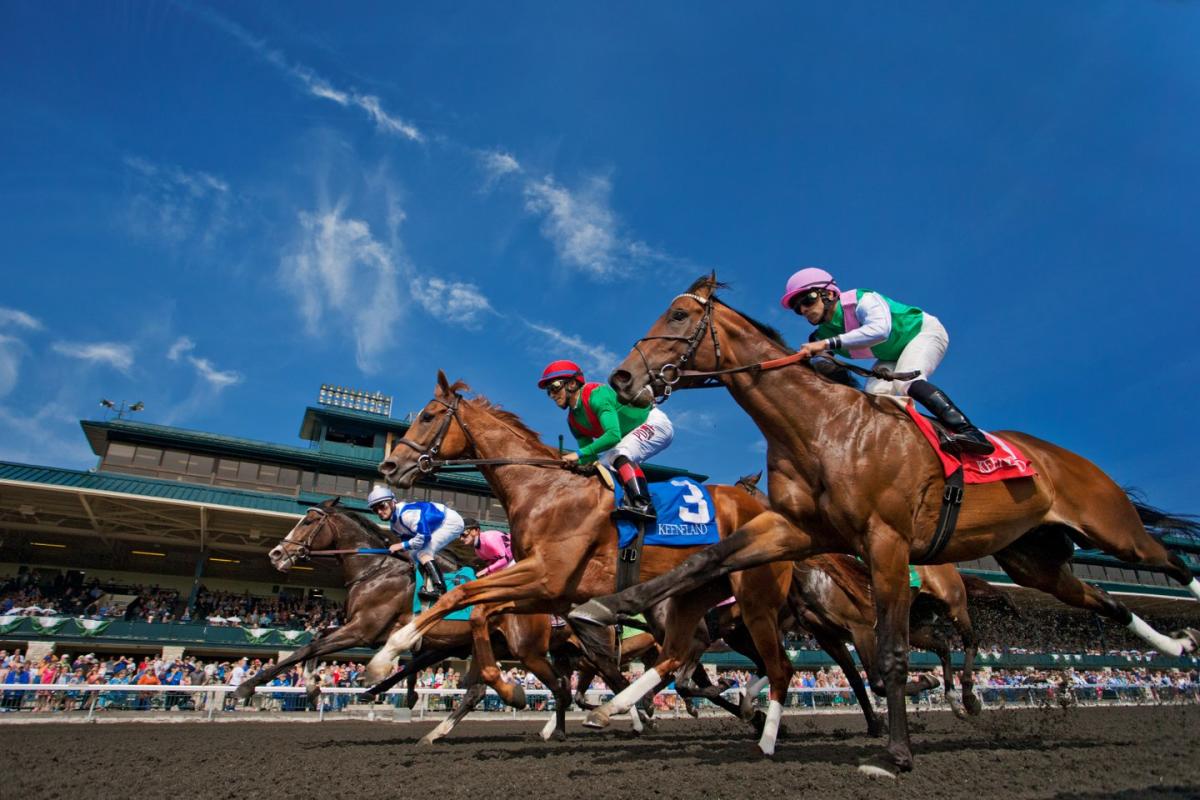 WiserStrategies's tweet photo. We work hard, but we love getting out too. Here are some upcoming events our team is looking forward to:

🎤 Tyler Childers (4/19)  
🎶 Thurs Night Live 
⚾ Legends Opener (4/25)  
🏇 Keeneland
🪁 Kite Fest (4/26)  
⚽ Lex SC vs. Lou City (5/1)  

See you out there, Lex! https://t.co/y5KcgcViht