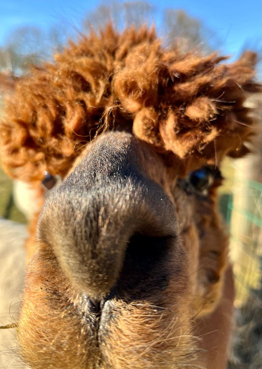 Ein tolles Wochenende euch !!🥳💛