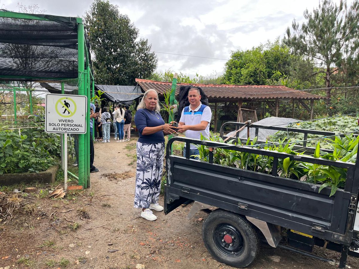 Más de 17.000 palmas llegaron a los 10 municipios de nuestra #TerritorialOcaña y al municipio de El Tarra. Cada una representa vida, respeto por lo nuestro y un compromiso con la naturaleza en este Domingo de Ramos.  Así vivimos Semana Santa en Paz con la Naturaleza.