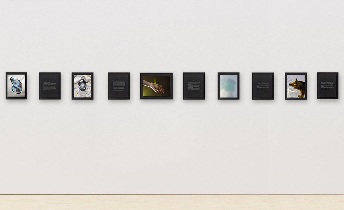 An overdue website update. Have a look:

danielleezzo.com