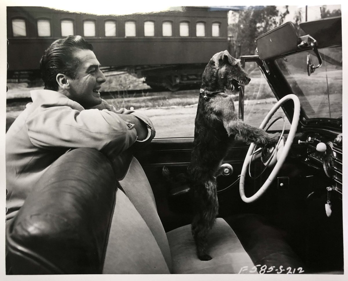 VictoriaMature's tweet photo. #HappyNationalPetDay from #VictorMature and @VictorMatureNet and ME!!!

(with https://t.co/49kXDXNMxj ) https://t.co/99jCVC3Yp0