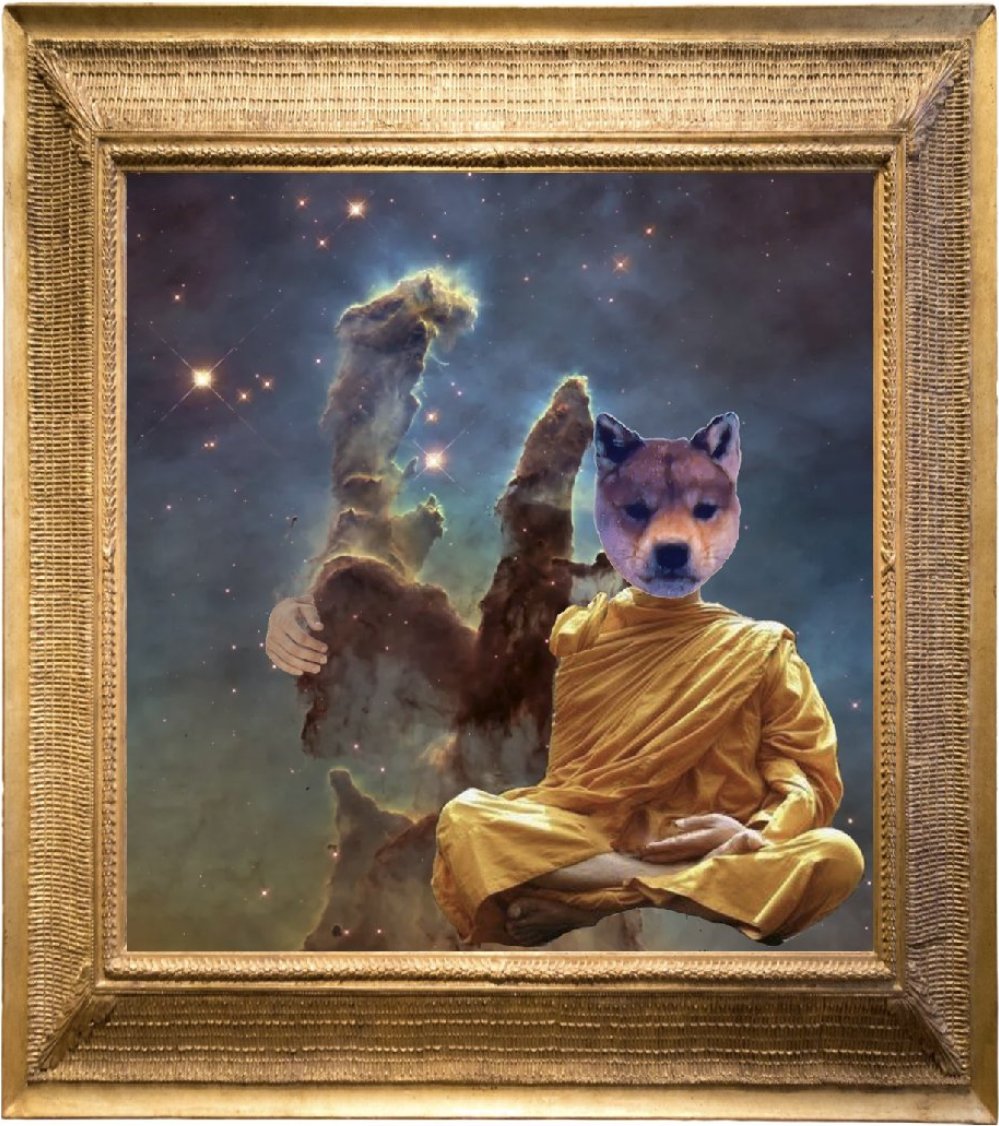 Wi Fout (@dogwifoutcoin) on Twitter photo 