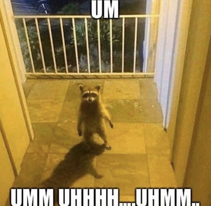 𒊹 @ DESIDERO tweet media