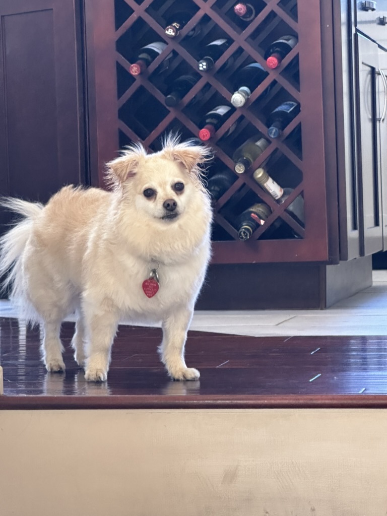 astrofredrick's tweet photo. @WestWingReport Hi Poppy...  Happy Friday! https://t.co/9zIxQ439eN