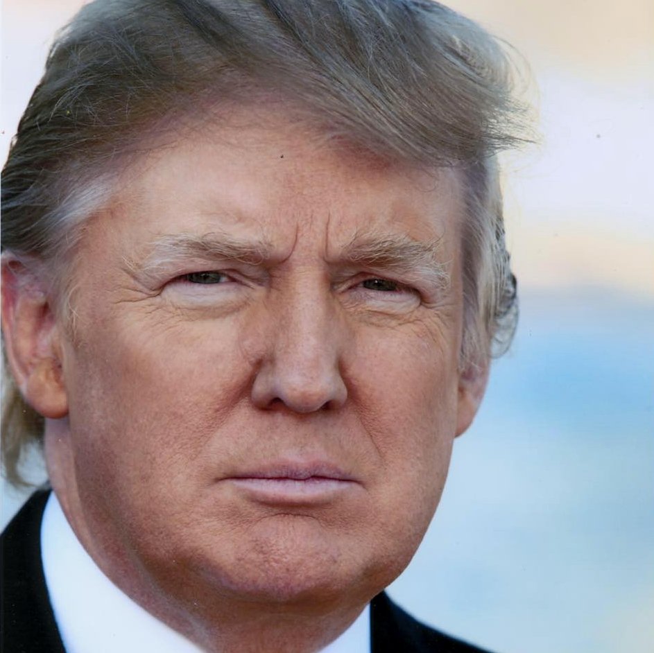 Elephant Signal 🐘🇺🇸 tweet media