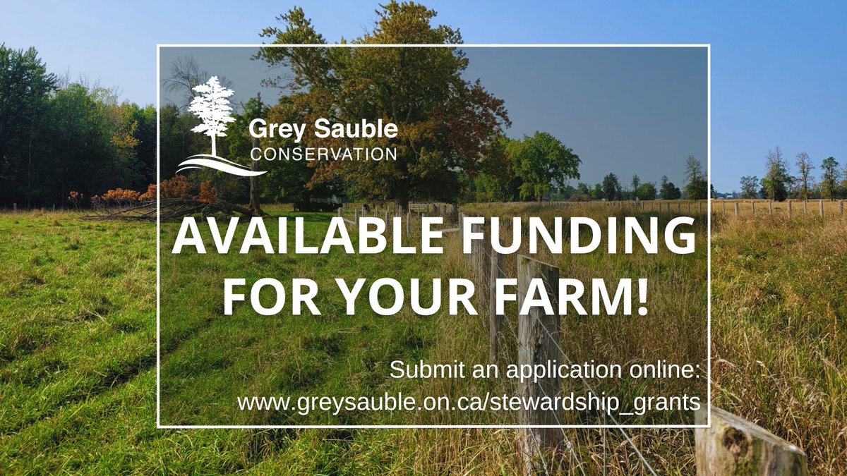 GreySauble's tweet photo. Projects can include cover crops, clean water diversion, tree planting, watercourse exclusion fencing, alternative watering systems, and more! 

Submit the Stewardship Application Form and our Stewardship Technician will contact you to discuss your plans:

https://t.co/3NGykxkY9L https://t.co/jl2Ed3kBBt