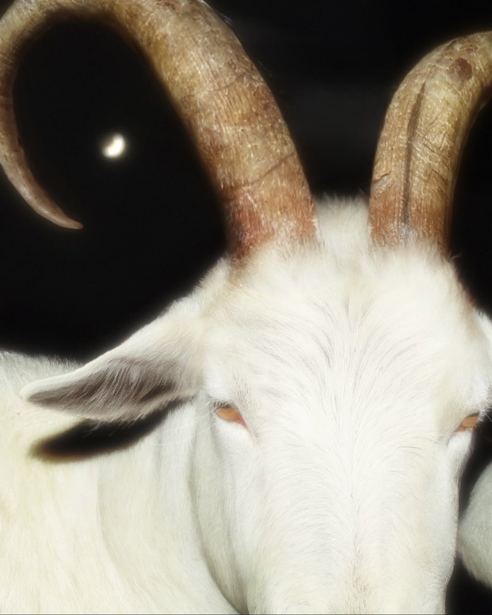 _QCOLLINS's tweet image. 