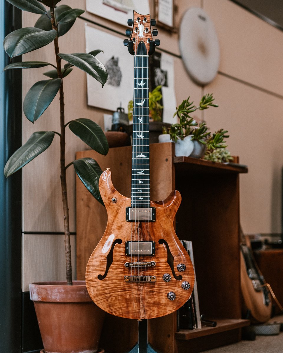 prsguitars's tweet photo. This Hawaiian Koa Hollowbody looks right at home among the flora 🤙 Happy #privatestockfriday! https://t.co/9mKG0ofujW