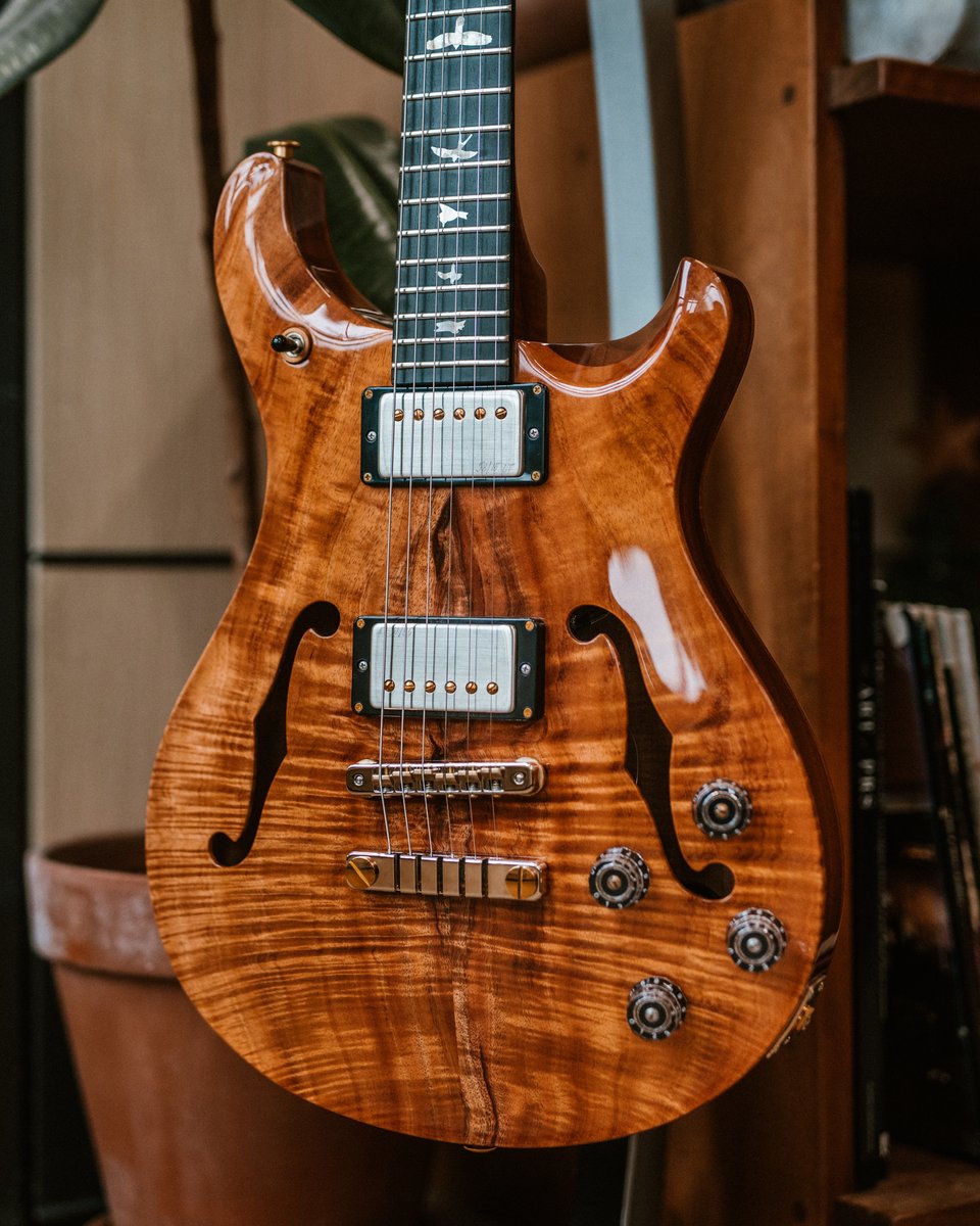 prsguitars's tweet photo. This Hawaiian Koa Hollowbody looks right at home among the flora 🤙 Happy #privatestockfriday! https://t.co/9mKG0ofujW